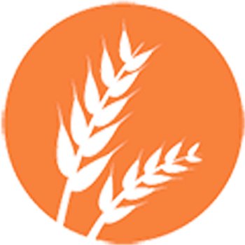 gluten-ca